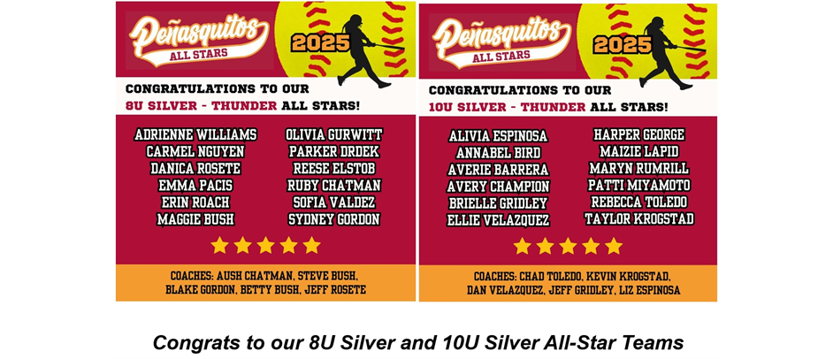 Congratulations 2025 8U & 10U Thunder All-Stars